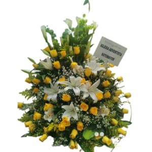 Rosas para funerarias en Barranquilla